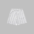 BLCG 2026 Men's & Women's Shorts