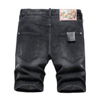 DSQ2 New Men's  Shorts